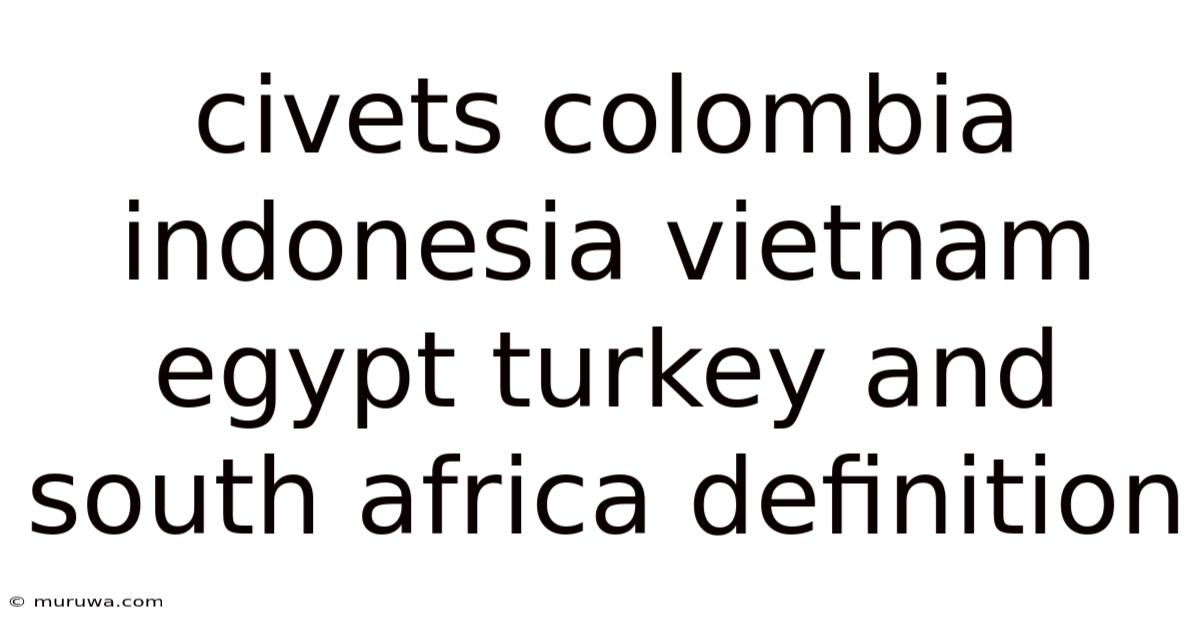 Civets Colombia Indonesia Vietnam Egypt Turkey And South Africa Definition Civets Colombia Indonesia Vietnam Egypt Turkey And South Africa Definition