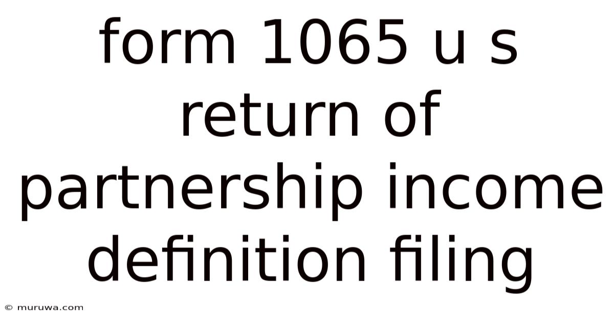 Form 1065 U S Return Of Partnership Income Definition Filing Form 1065 U S Return Of Partnership Income Definition Filing