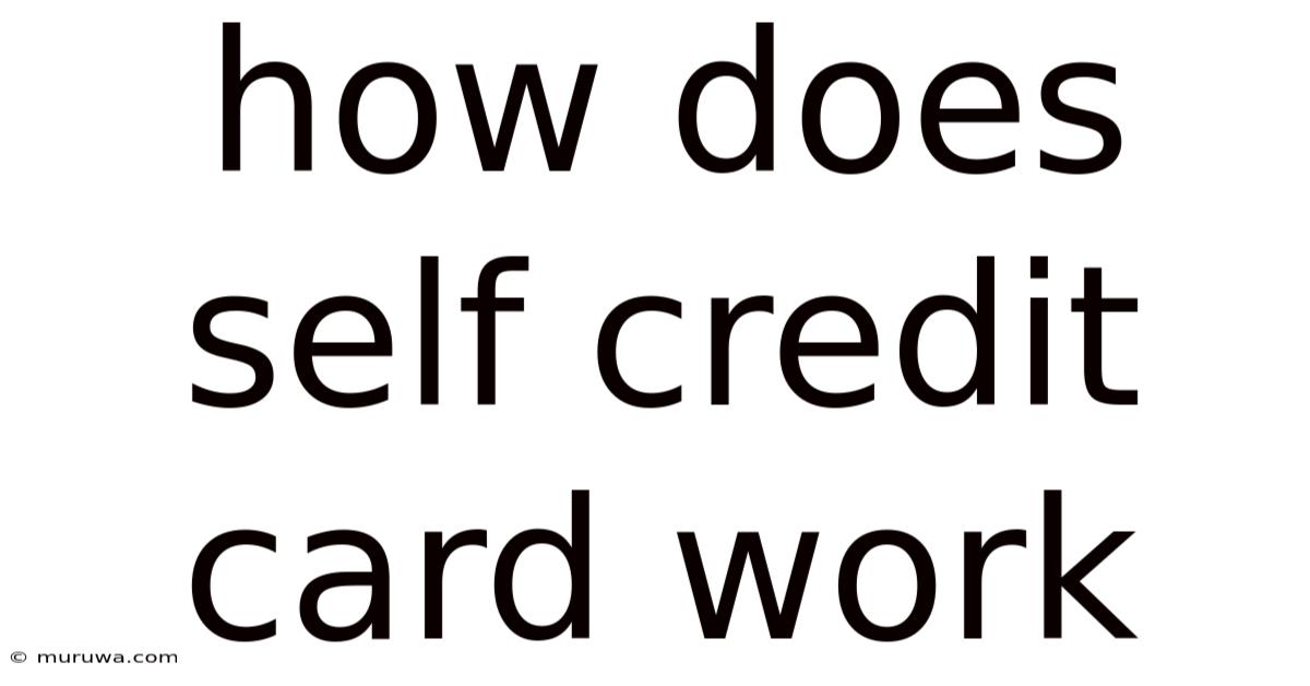 How Does Self Credit Card Work How Does Self Credit Card Work
