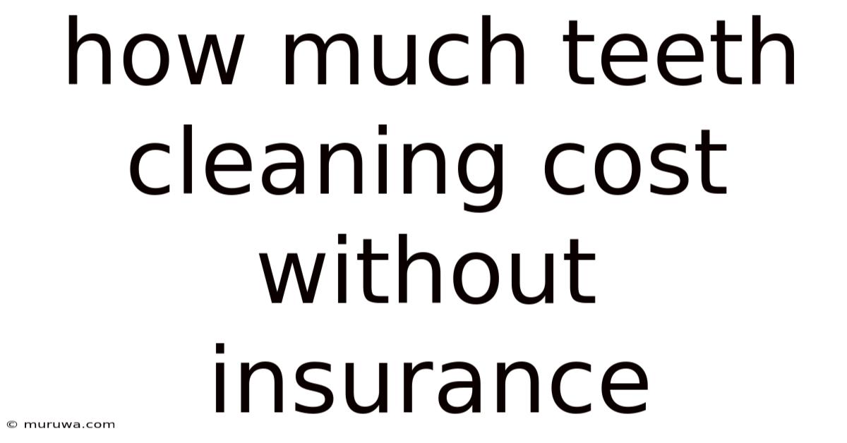How Much Teeth Cleaning Cost Without Insurance How Much Teeth Cleaning Cost Without Insurance