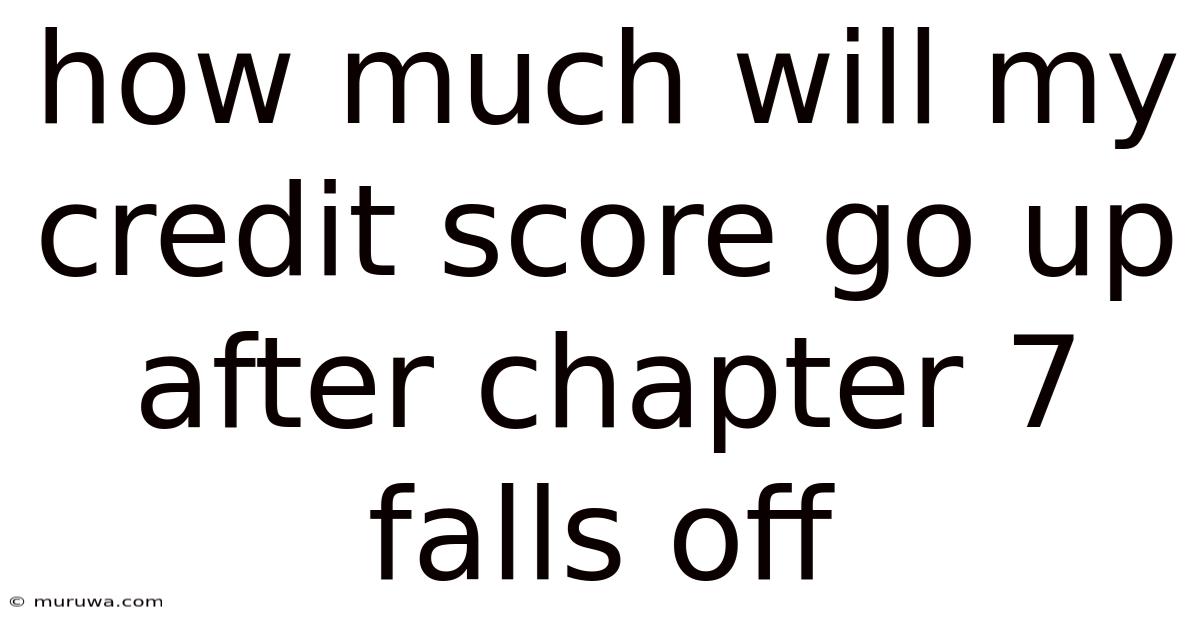 How Much Will My Credit Score Go Up After Chapter 7 Falls Off How Much Will My Credit Score Go Up After Chapter 7 Falls Off