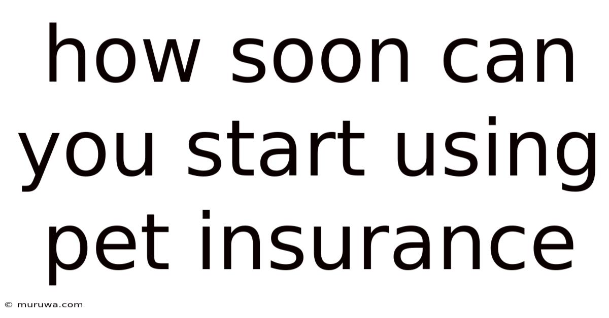 How Soon Can You Start Using Pet Insurance How Soon Can You Start Using Pet Insurance