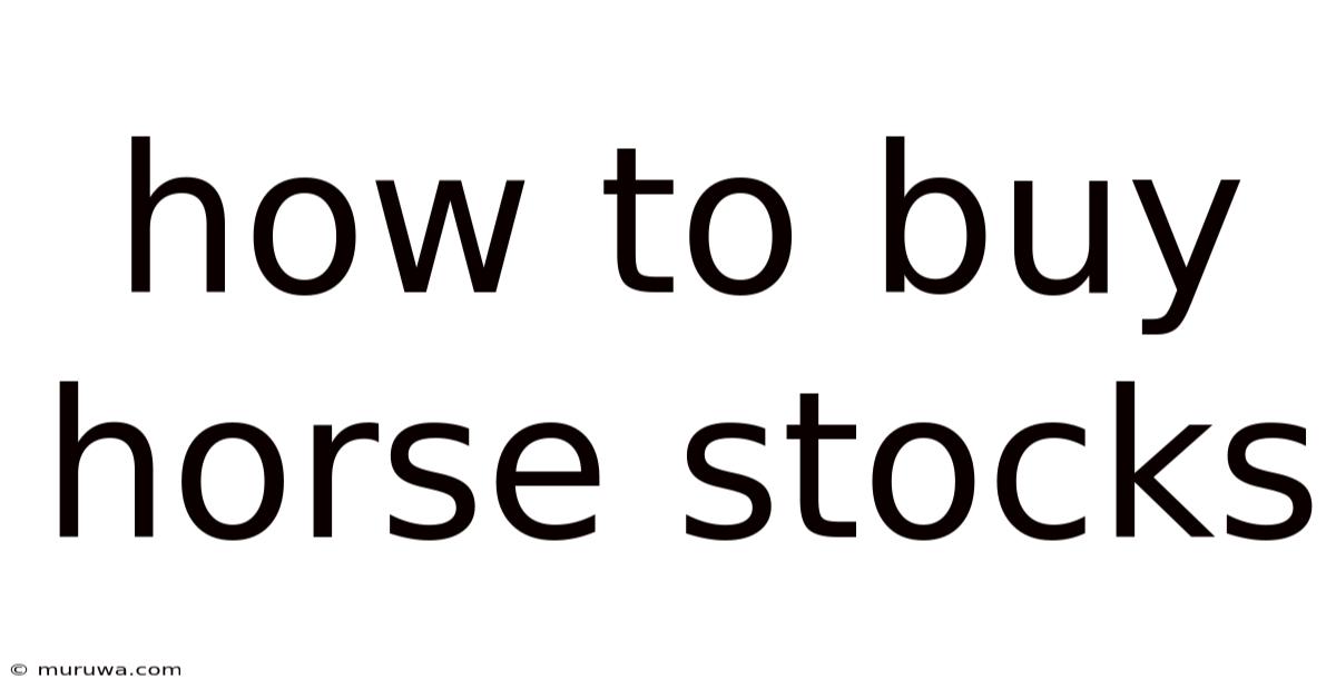 How To Buy Horse Stocks How To Buy Horse Stocks