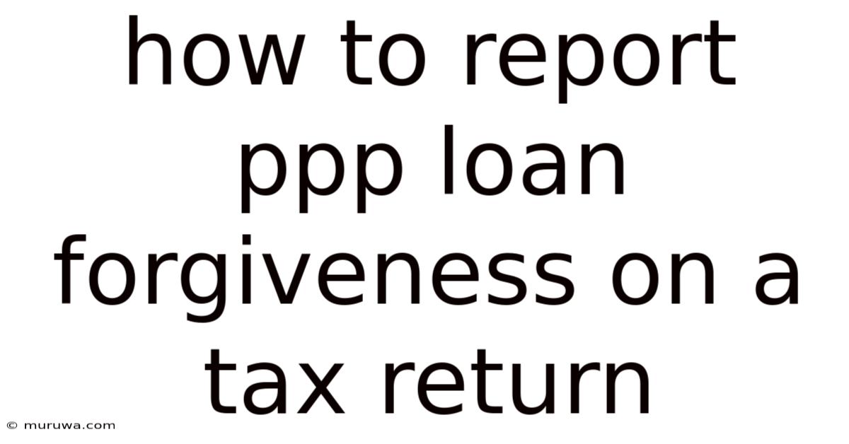 How To Report Ppp Loan Forgiveness On A Tax Return How To Report Ppp Loan Forgiveness On A Tax Return