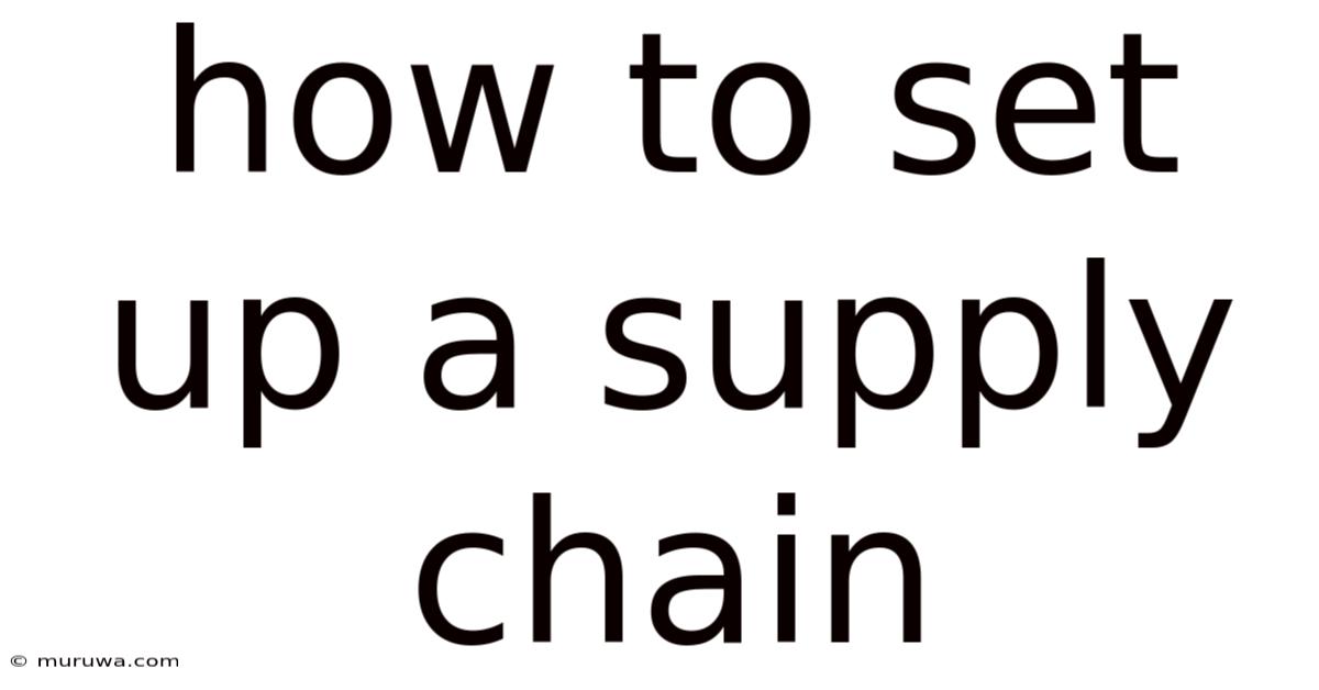 How To Set Up A Supply Chain
