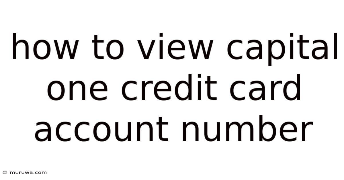 How To View Capital One Credit Card Account Number How To View Capital One Credit Card Account Number