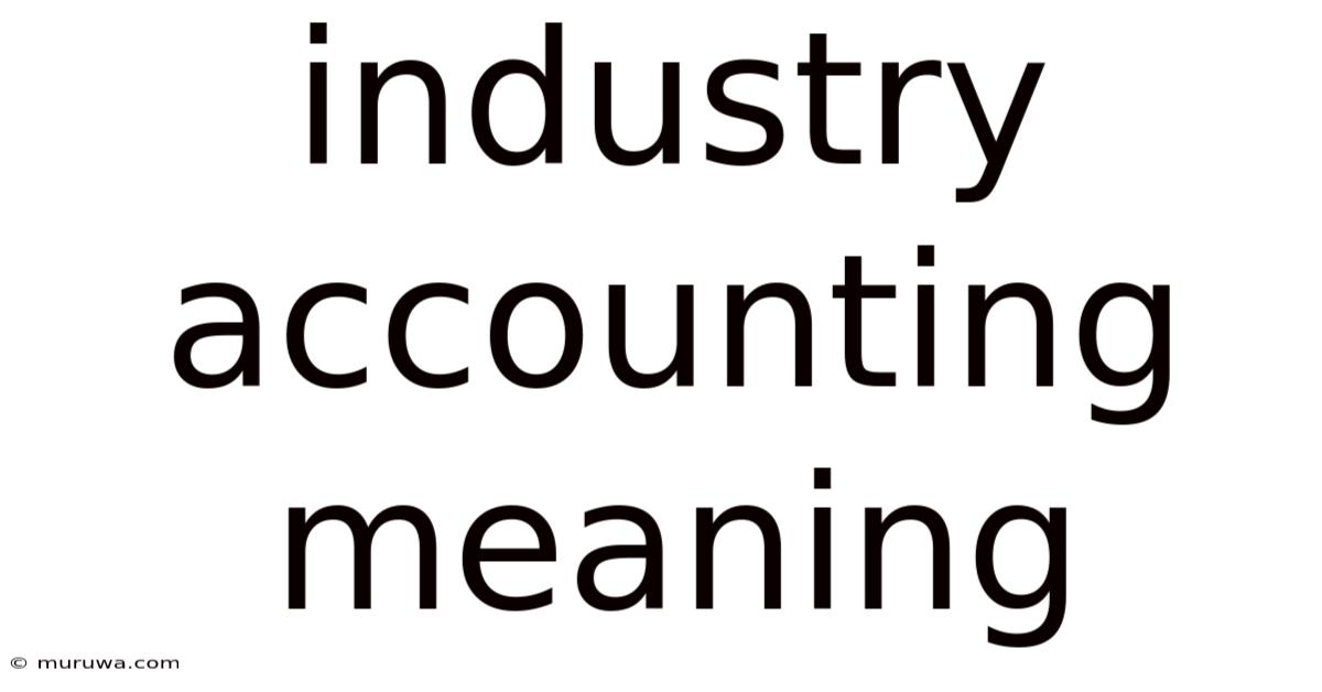 Industry Accounting Meaning