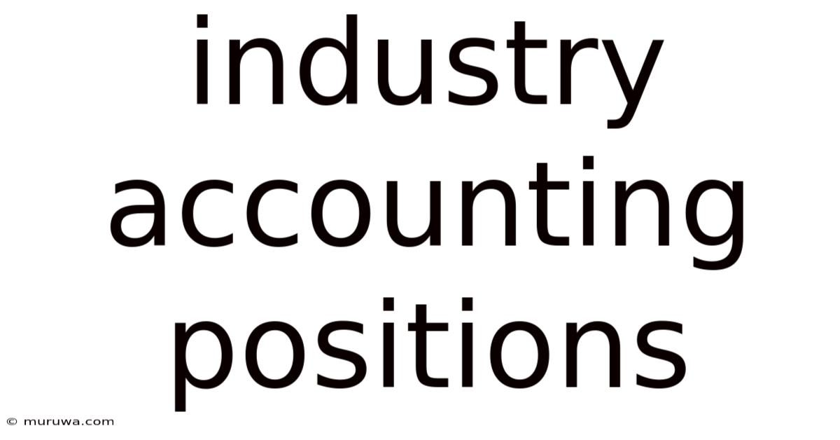 Industry Accounting Positions