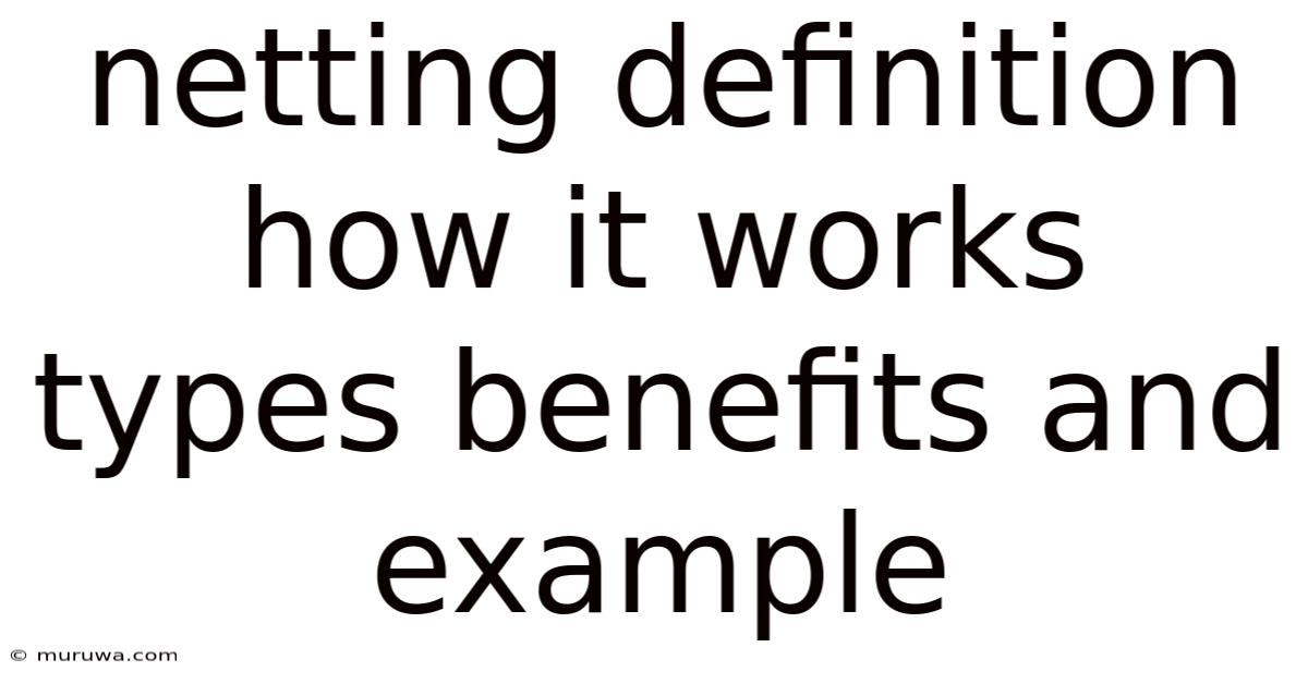 Netting Definition How It Works Types Benefits And Example