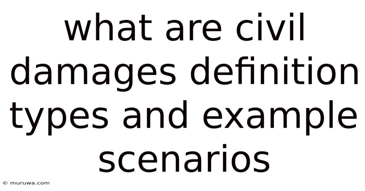 What Are Civil Damages Definition Types And Example Scenarios What Are Civil Damages Definition Types And Example Scenarios