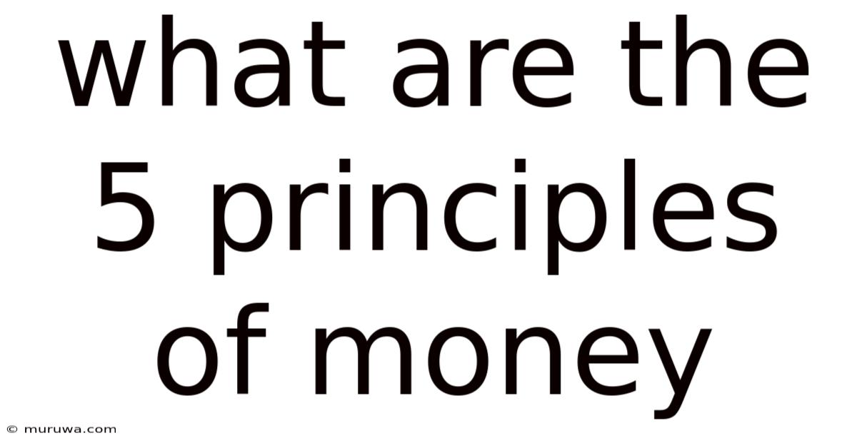 What Are The 5 Principles Of Money