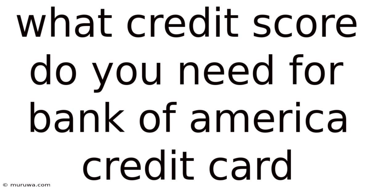 What Credit Score Do You Need For Bank Of America Credit Card What Credit Score Do You Need For Bank Of America Credit Card