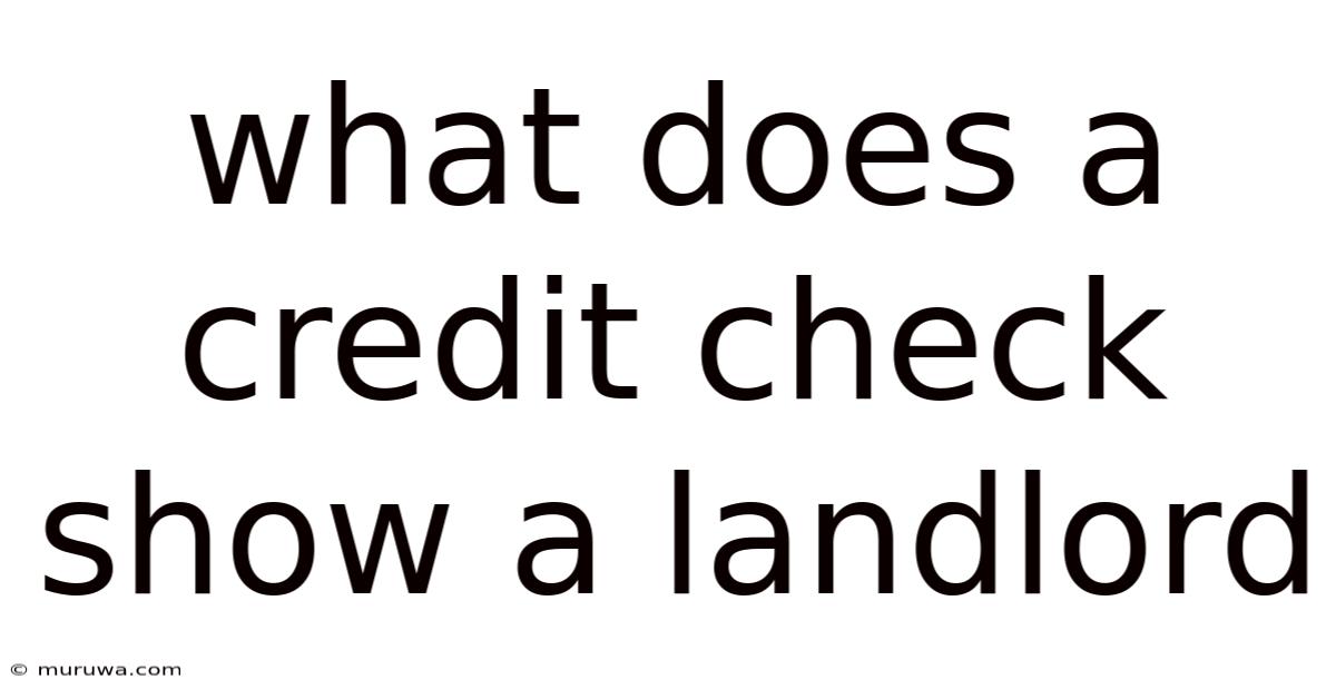 What Does A Credit Check Show A Landlord What Does A Credit Check Show A Landlord