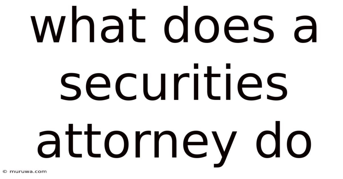What Does A Securities Attorney Do What Does A Securities Attorney Do