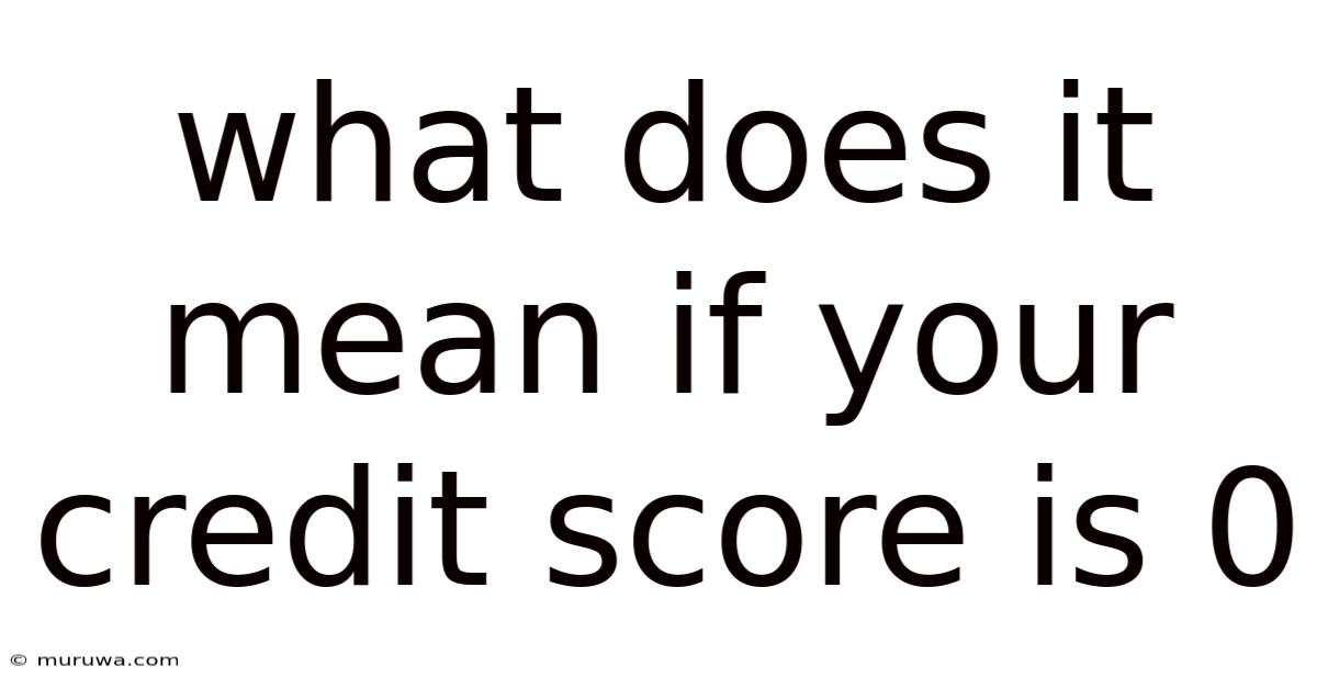 What Does It Mean If Your Credit Score Is 0 What Does It Mean If Your Credit Score Is 0
