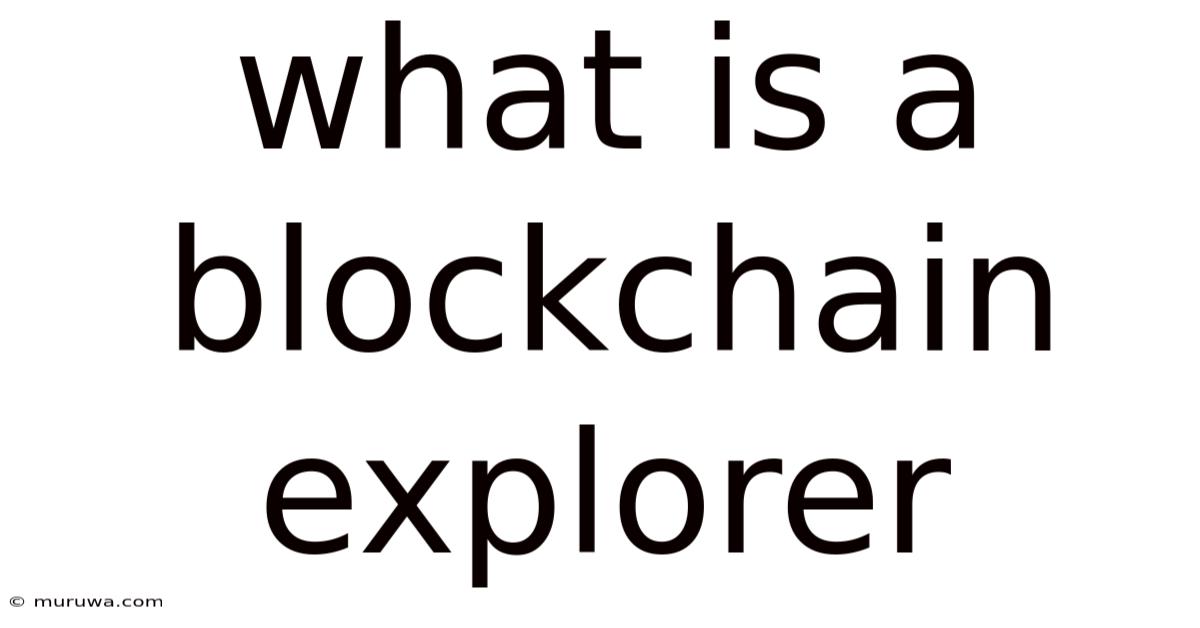 What Is A Blockchain Explorer What Is A Blockchain Explorer