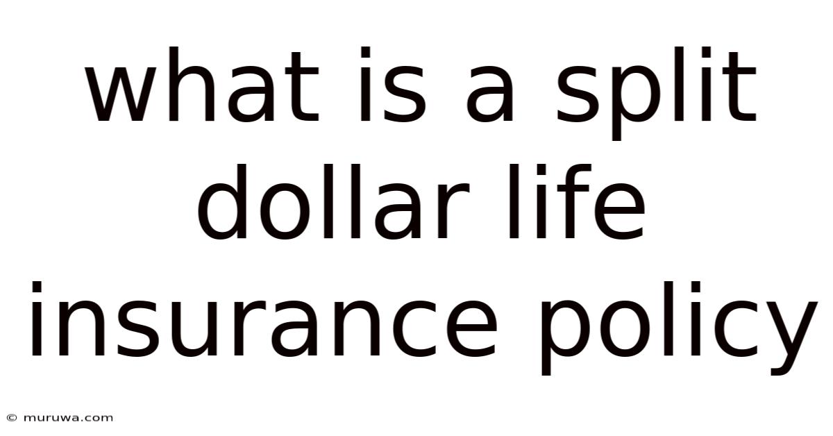 What Is A Split Dollar Life Insurance Policy
