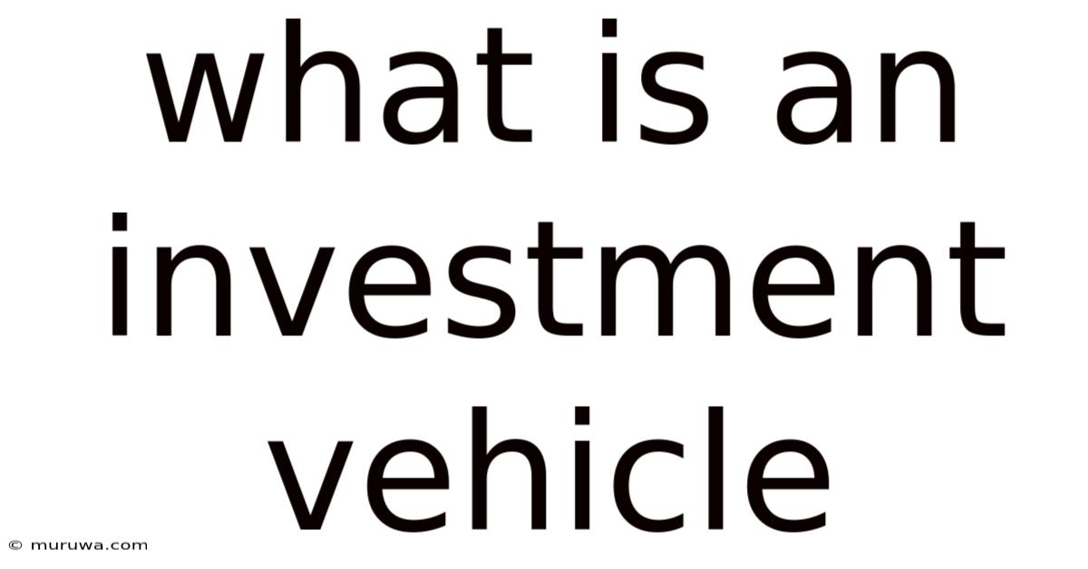 What Is An Investment Vehicle What Is An Investment Vehicle