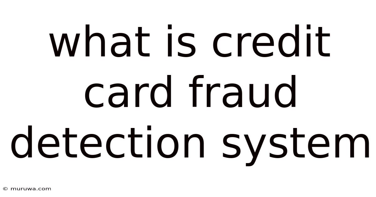 What Is Credit Card Fraud Detection System What Is Credit Card Fraud Detection System