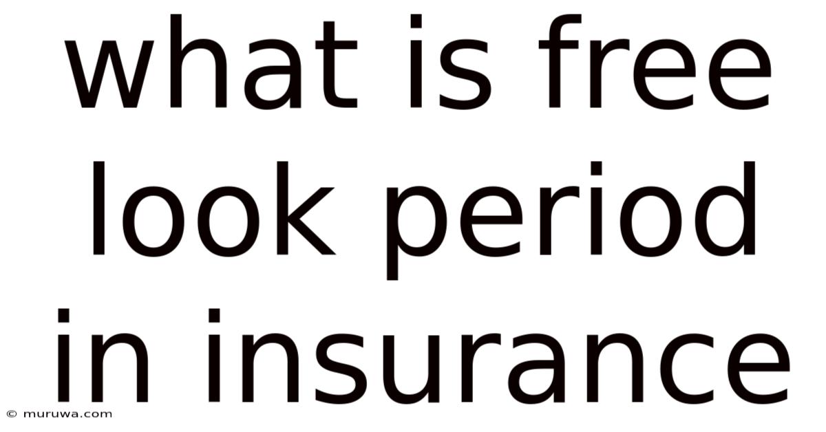 What Is Free Look Period In Insurance What Is Free Look Period In Insurance