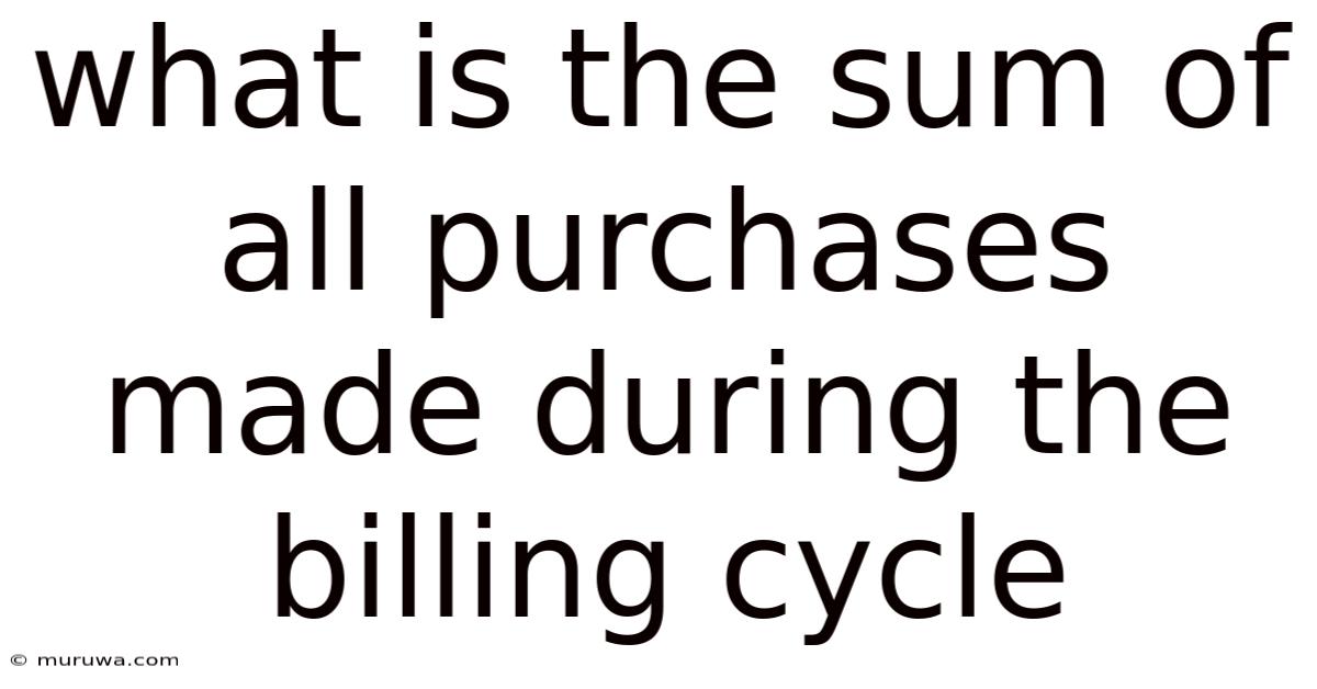What Is The Sum Of All Purchases Made During The Billing Cycle What Is The Sum Of All Purchases Made During The Billing Cycle