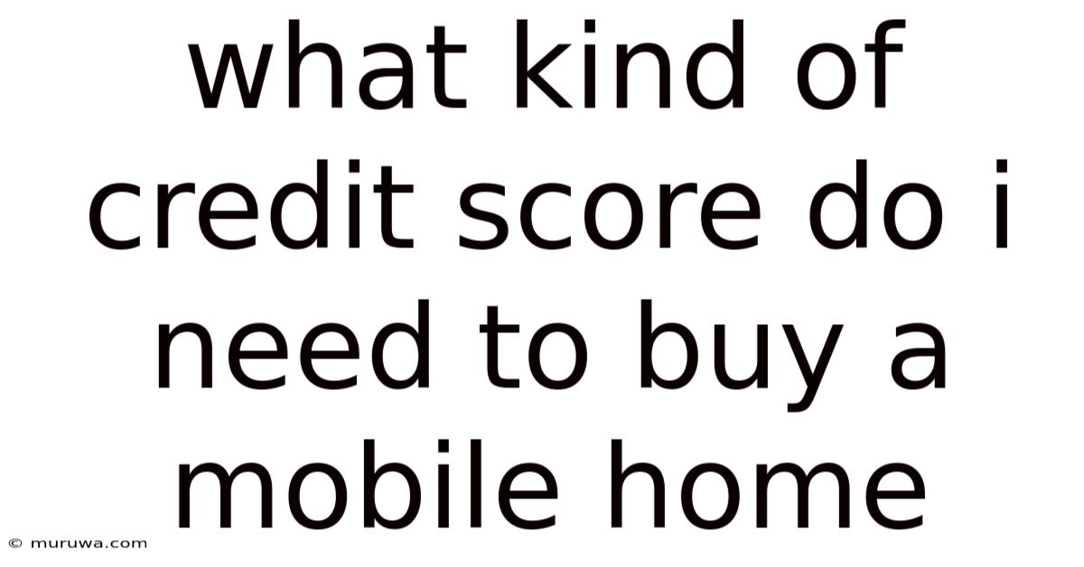 What Kind Of Credit Score Do I Need To Buy A Mobile Home What Kind Of Credit Score Do I Need To Buy A Mobile Home