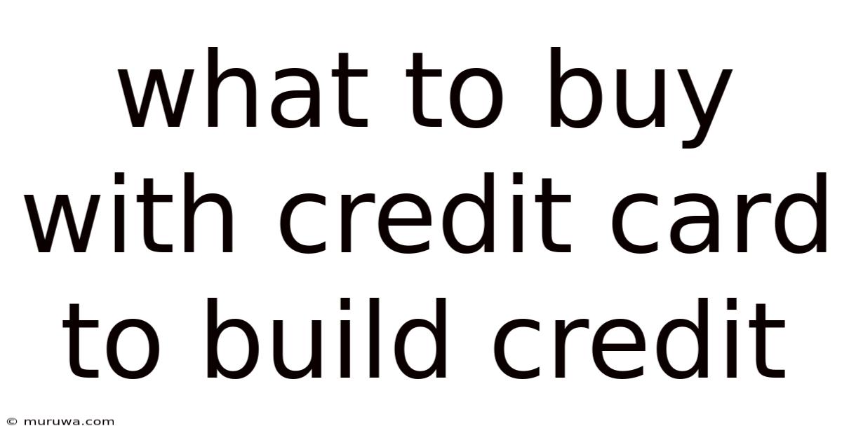 What To Buy With Credit Card To Build Credit What To Buy With Credit Card To Build Credit
