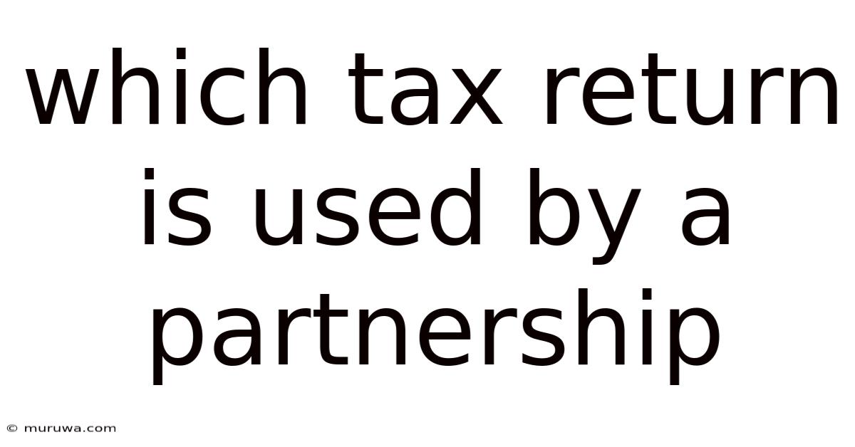 Which Tax Return Is Used By A Partnership Which Tax Return Is Used By A Partnership