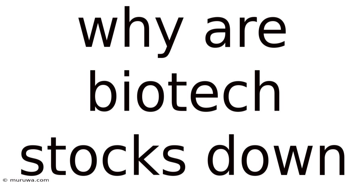 Why Are Biotech Stocks Down