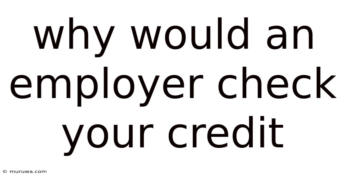 Why Would An Employer Check Your Credit Why Would An Employer Check Your Credit
